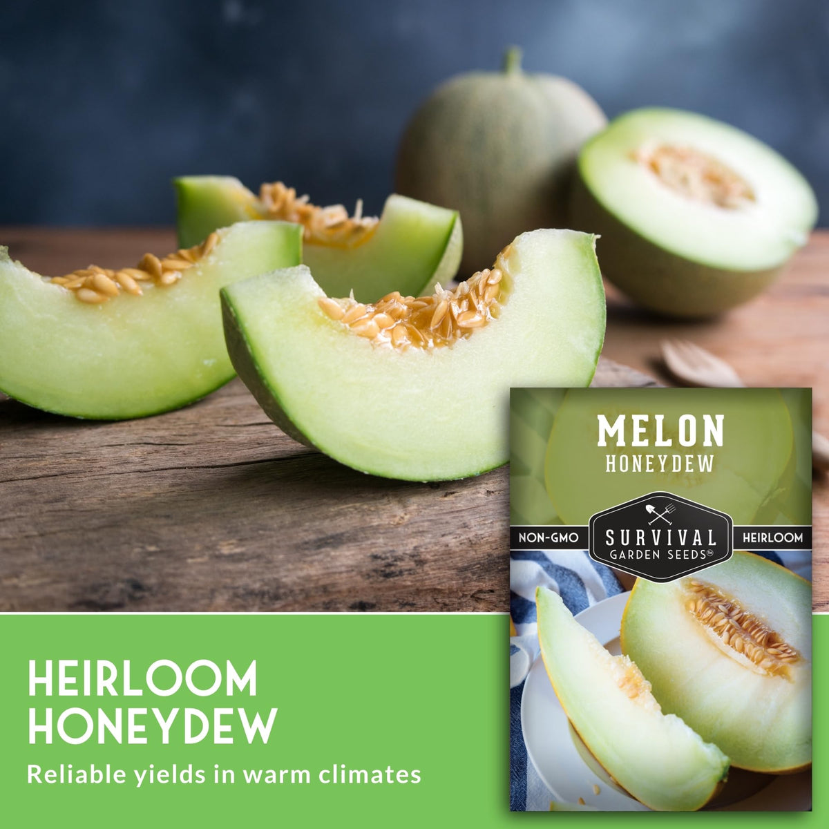Cross-section of honeydew with pale green flesh from SURVIVAL GARDEN SEEDS