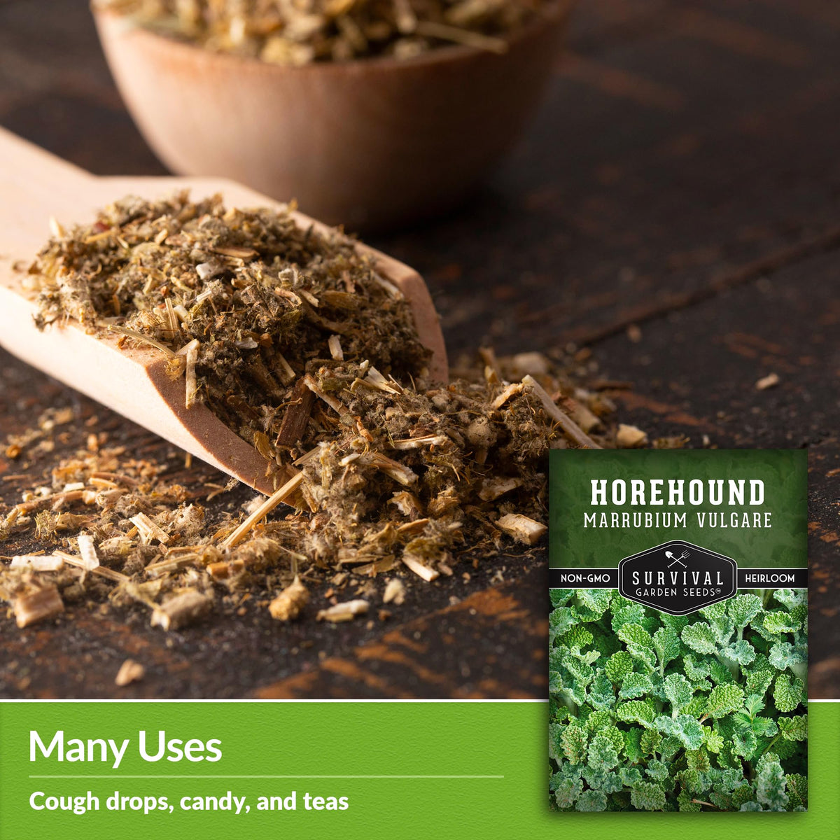 Survival Garden Seeds horehound flowering plants in a garden