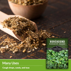 Survival Garden Seeds horehound flowering plants in a garden