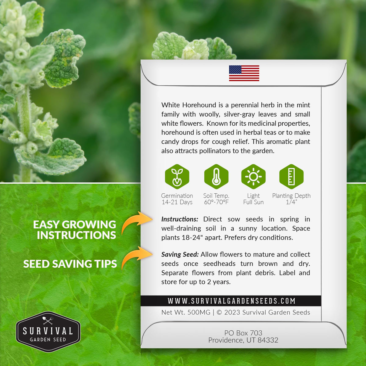 Survival Garden Seeds horehound plant growing in a garden bed to support pollinators