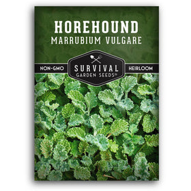 Survival Garden Seeds horehound seed packet ready for planting in a sunny herb garden