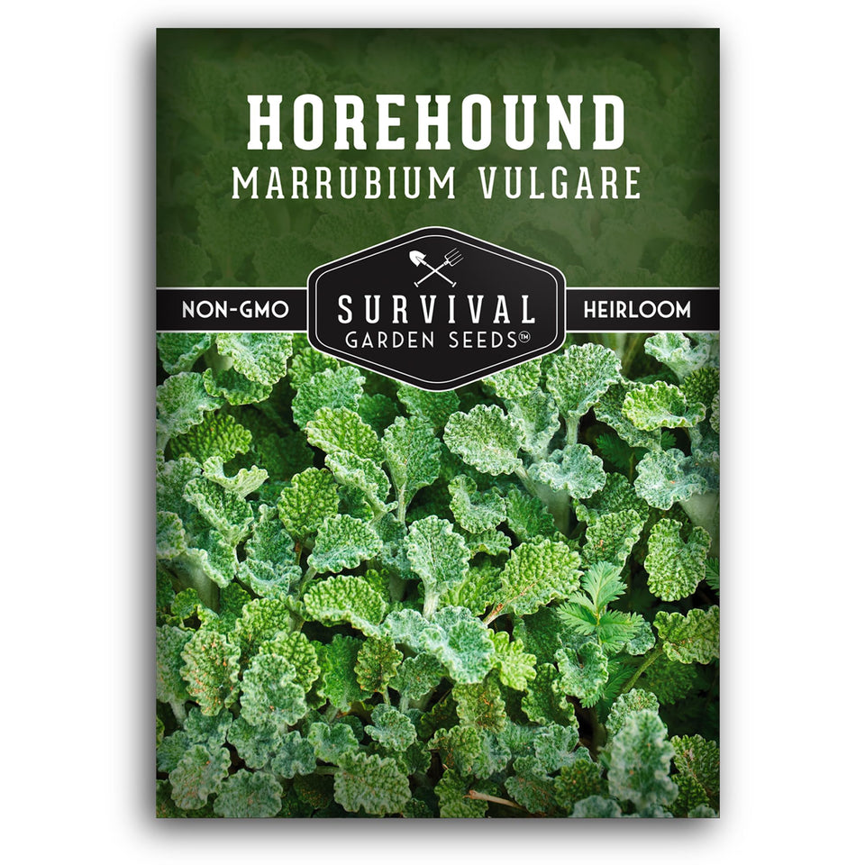 Survival Garden Seeds horehound seed packet ready for planting in a sunny herb garden
