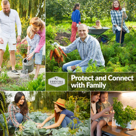 SURVIVAL GARDEN SEEDS hot-summer vines thriving in sunlit garden bed for abundant weekly picks.