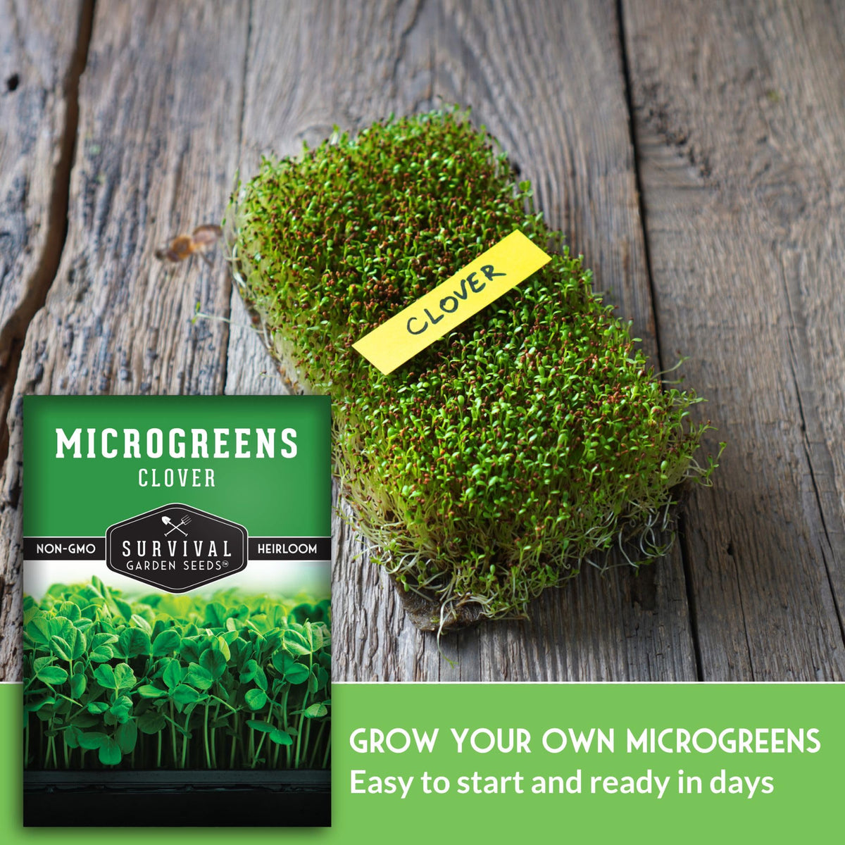 Survival Garden Seeds red clover in hydroponics for year-round harvest.
