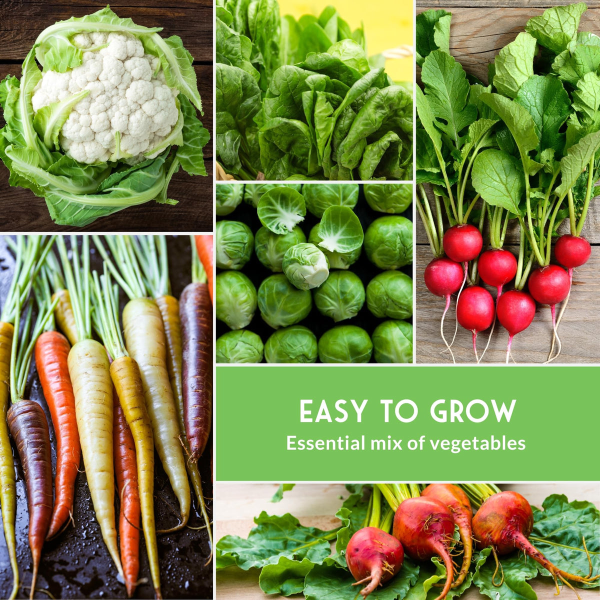 SURVIVAL GARDEN SEEDS indoor grow-light compatible seeds for year-round cultivation.