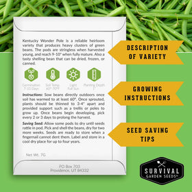 Survival Garden Seeds Kentucky Wonder vine growing up a trellis for space-saving production.