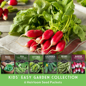 Survival Garden Seeds green beans pack ideal for family garden