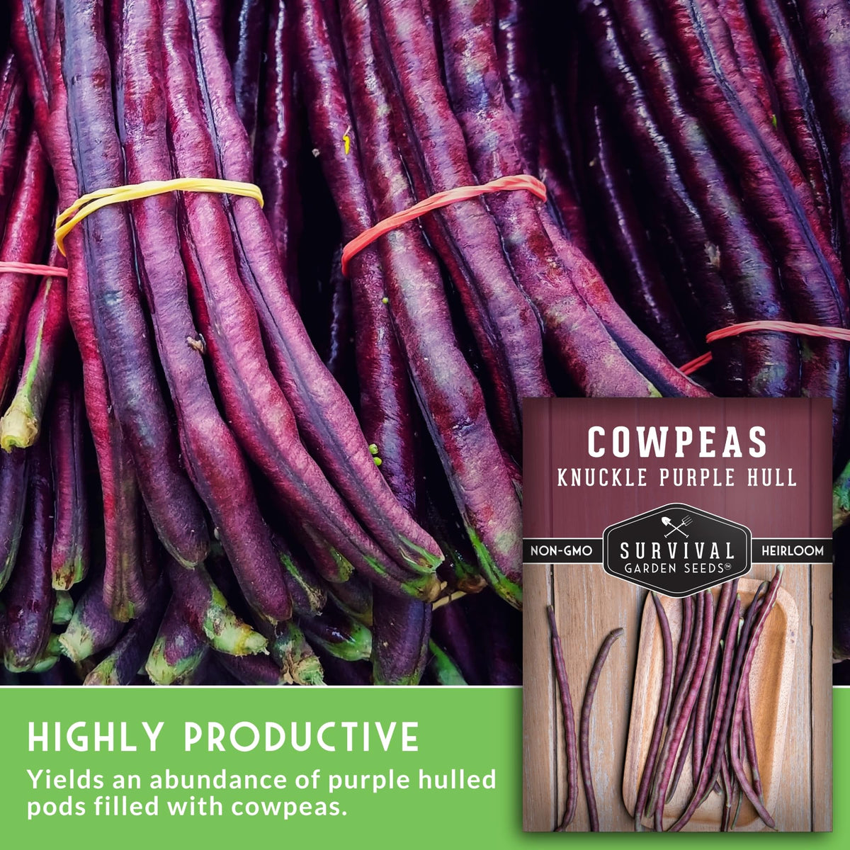 Survival Garden Seeds Knuckle Purple Hull plants thriving in sunny garden bed