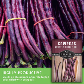 Survival Garden Seeds Knuckle Purple Hull plants thriving in sunny garden bed