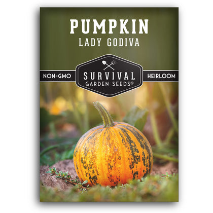 Survival Garden Seeds Lady Godiva hulless seeds ready for roasting pepitas