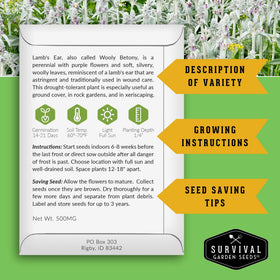 SURVIVAL GARDEN SEEDS Lamb's Ear growing guide image highlights shade-tolerant ground cover.