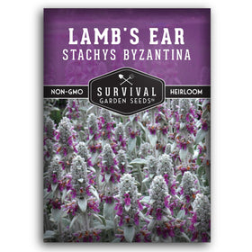 SURVIVAL GARDEN SEEDS Lamb's Ear seed packet with planting instructions for home gardens.