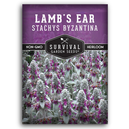 SURVIVAL GARDEN SEEDS Lamb's Ear seed packet with planting instructions for home gardens.