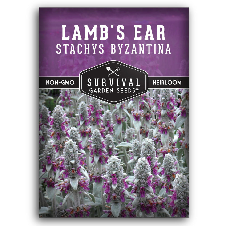 SURVIVAL GARDEN SEEDS Lamb's Ear seed packet with planting instructions for home gardens.