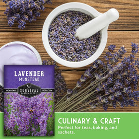 Dried Munstead lavender bundle ready for sachets and crafts or fragrance