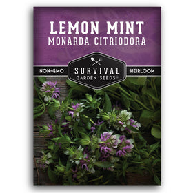 SURVIVAL GARDEN SEEDS Lemon Mint seeds pack: ideal starter for aromatic herb gardens