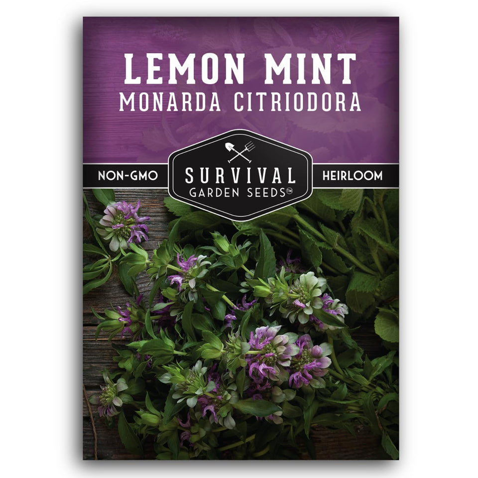 SURVIVAL GARDEN SEEDS Lemon Mint seeds pack: ideal starter for aromatic herb gardens