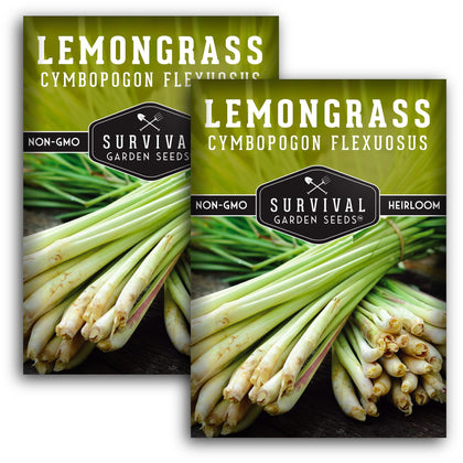 Survival Garden Seeds lemongrass seeds planting in pots for fresh fragrance