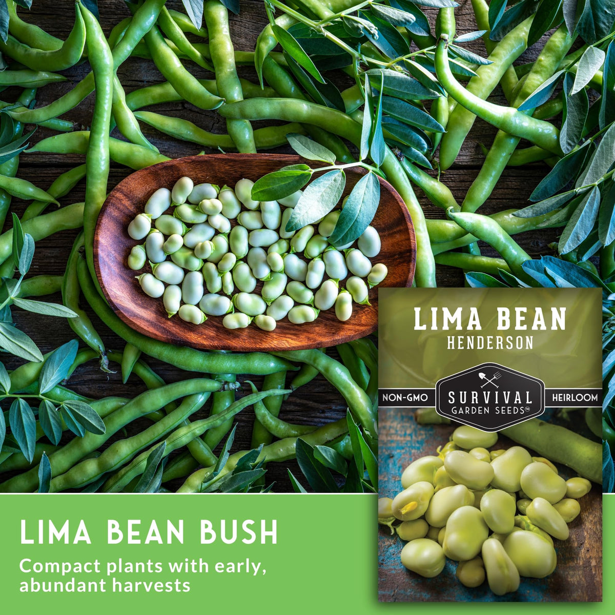 SURVIVAL GARDEN SEEDS Lima bean seeds for early harvests.