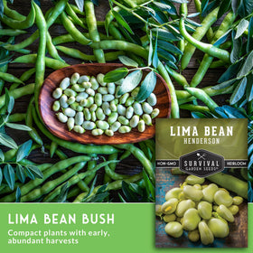 SURVIVAL GARDEN SEEDS Lima bean seeds for early harvests.