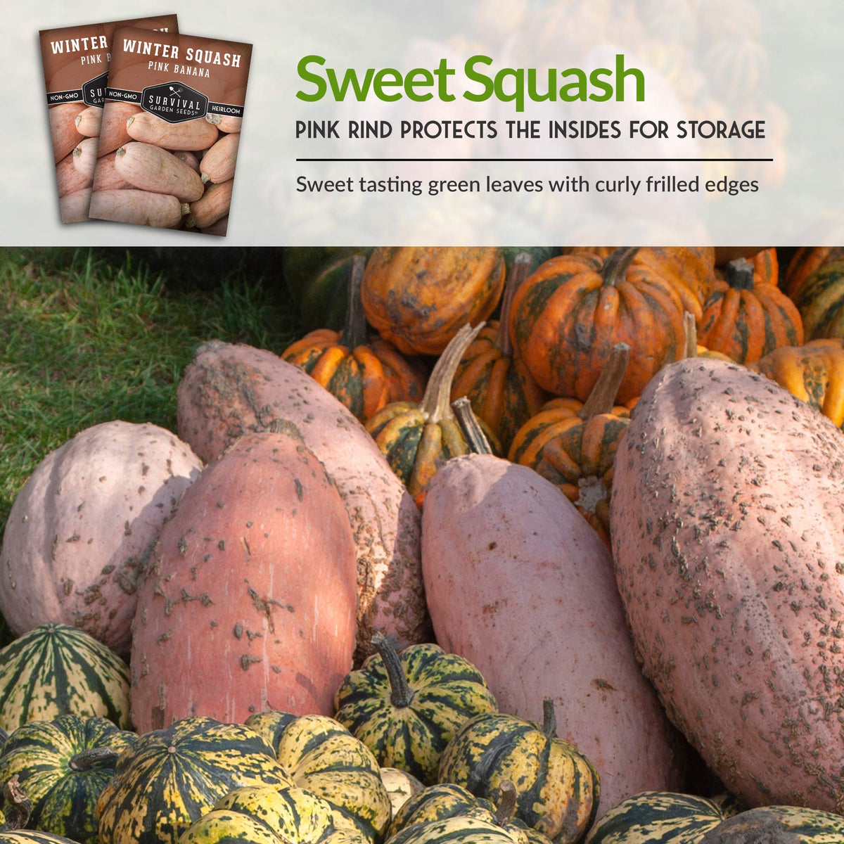 SURVIVAL GARDEN SEEDS open-pollinated heirloom seeds from a USA small business.