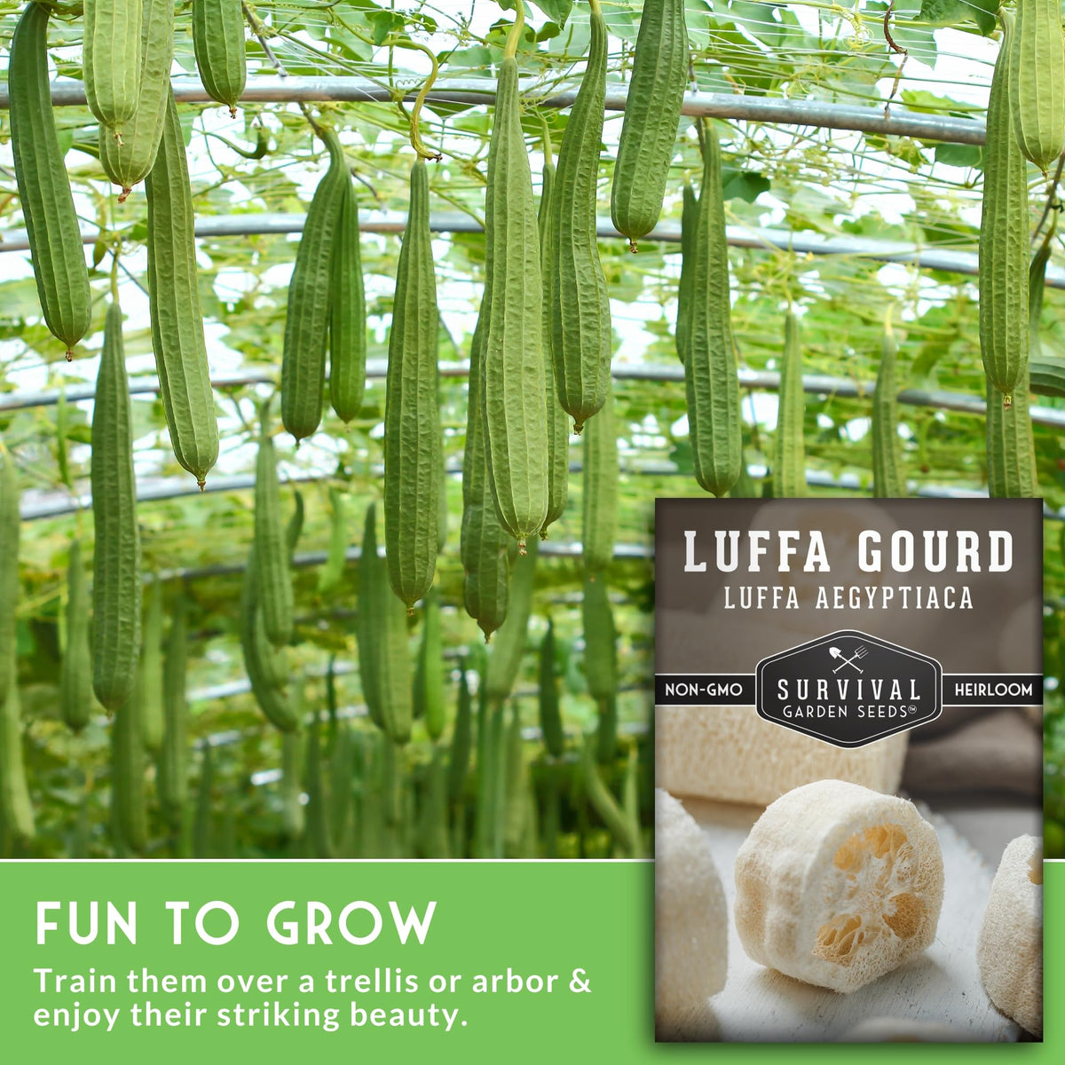 SURVIVAL GARDEN SEEDS luffa seed packet in paper packaging.