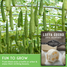 SURVIVAL GARDEN SEEDS luffa seed packet in paper packaging.