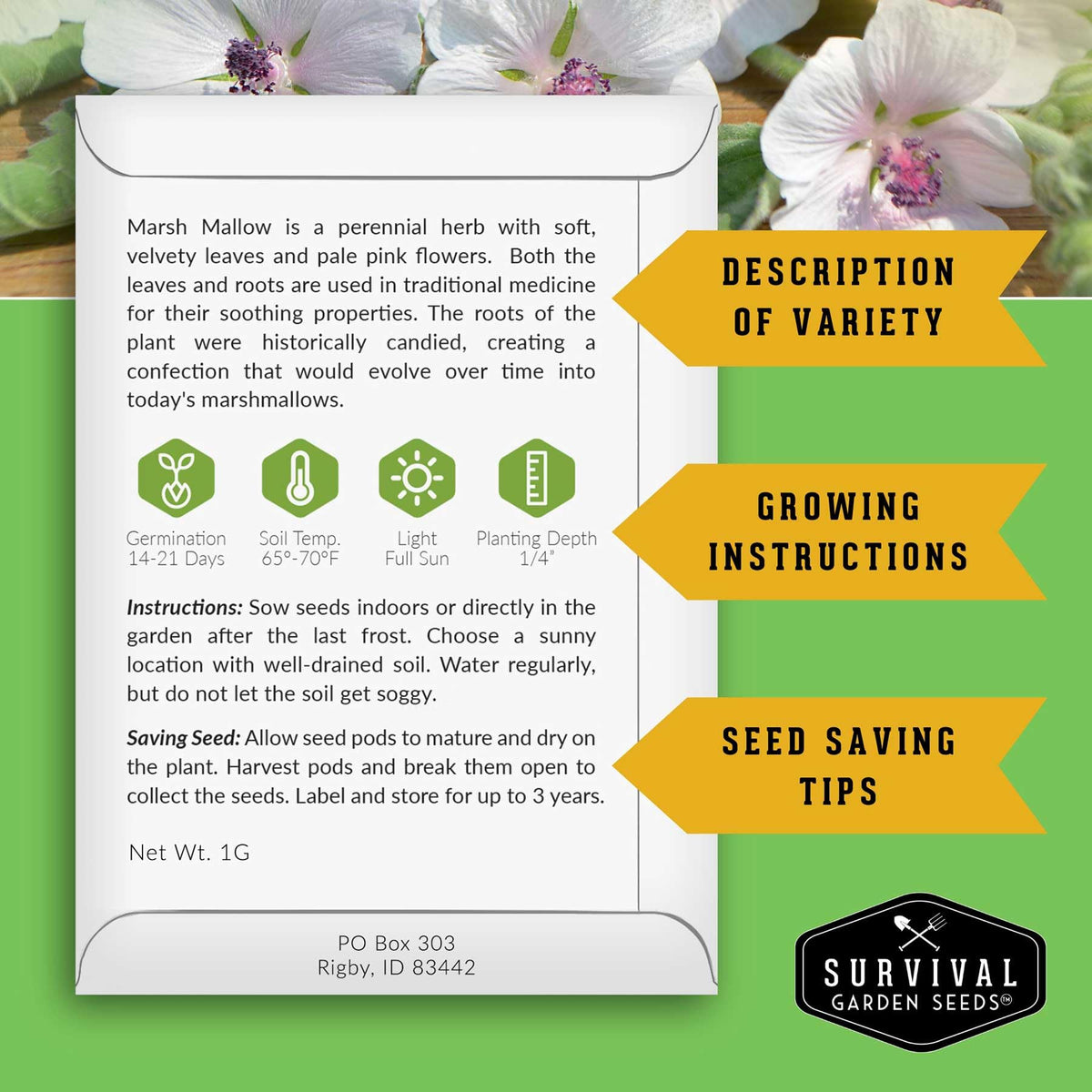 Survival Garden Seeds marshmallow pale pink blossoms attracting pollinators.