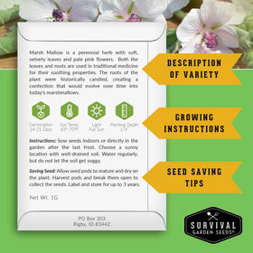Survival Garden Seeds marshmallow pale pink blossoms attracting pollinators.