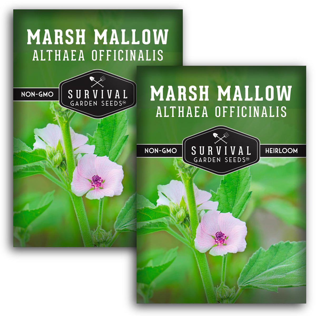 Survival Garden Seeds marshmallow leaf close-up, ideal for herbal teas.