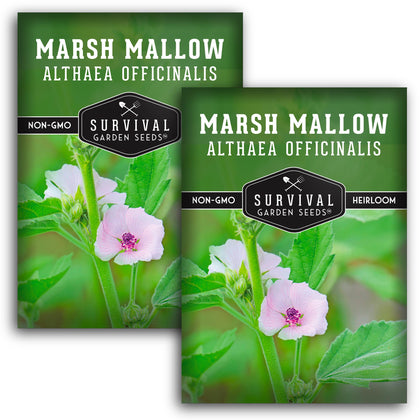 Survival Garden Seeds marshmallow leaf close-up, ideal for herbal teas.