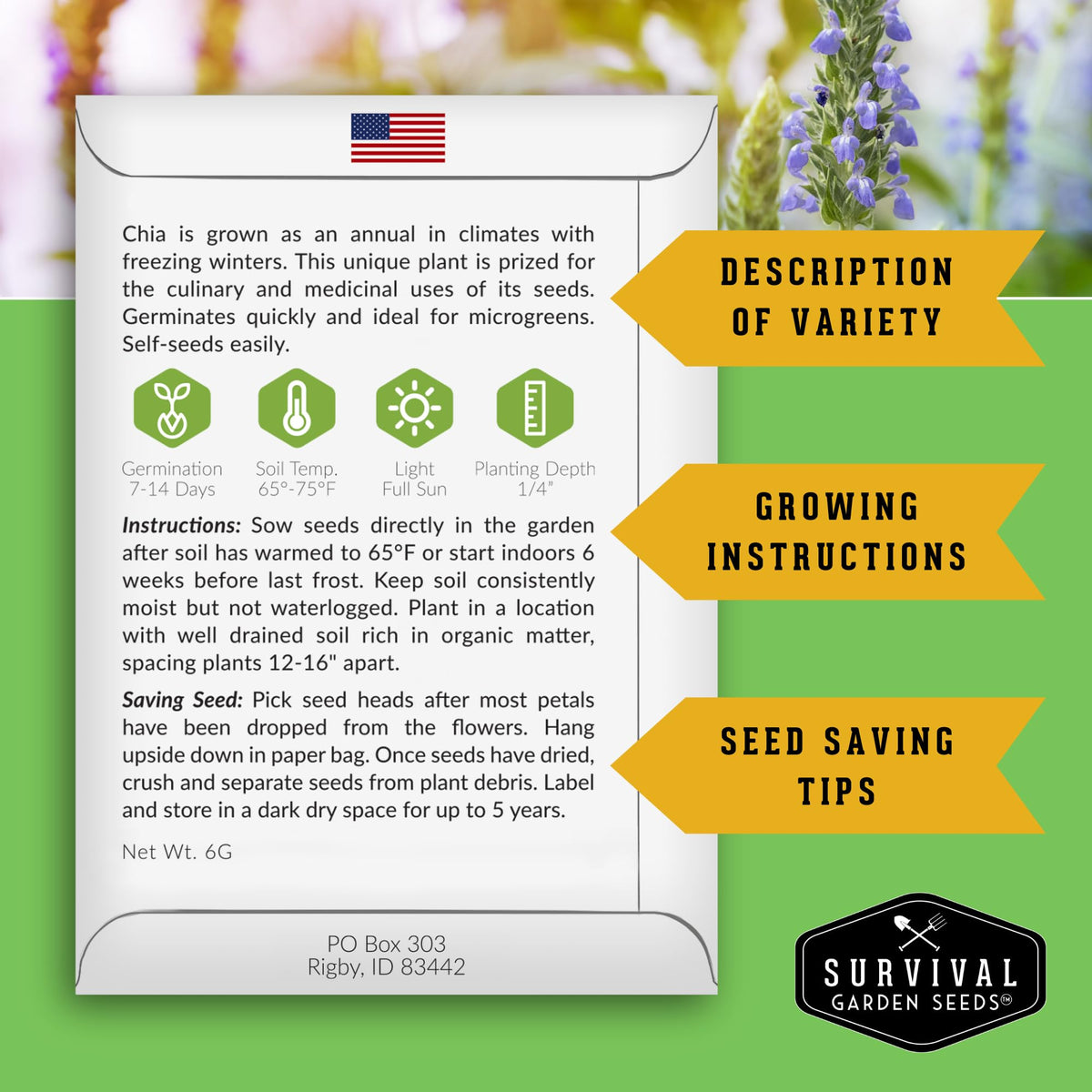 Survival Garden Seeds Mexican Salvia Hispanica flowers attract pollinators