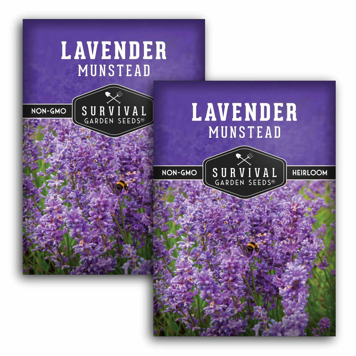Survival Garden Seeds Munstead lavender seeds packet ideal for small pots and compact gardens