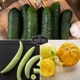 SURVIVAL GARDEN SEEDS National pickling cucumber packet ideal for fermenting