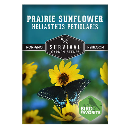 Survival Garden Seeds native prairie sunflower seeds pack supports pollinators in native gardens.