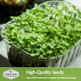 SURVIVAL GARDEN SEEDS nutrient-dense greens suitable for meals and snacks