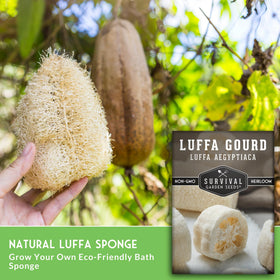 SURVIVAL GARDEN SEEDS open-pollinated heirloom luffa seeds ensure true-to-type growth.