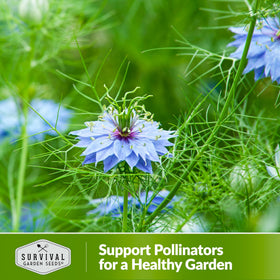 SURVIVAL GARDEN SEEDS open-pollinated heirloom seeds preserve genetic diversity for gardeners.