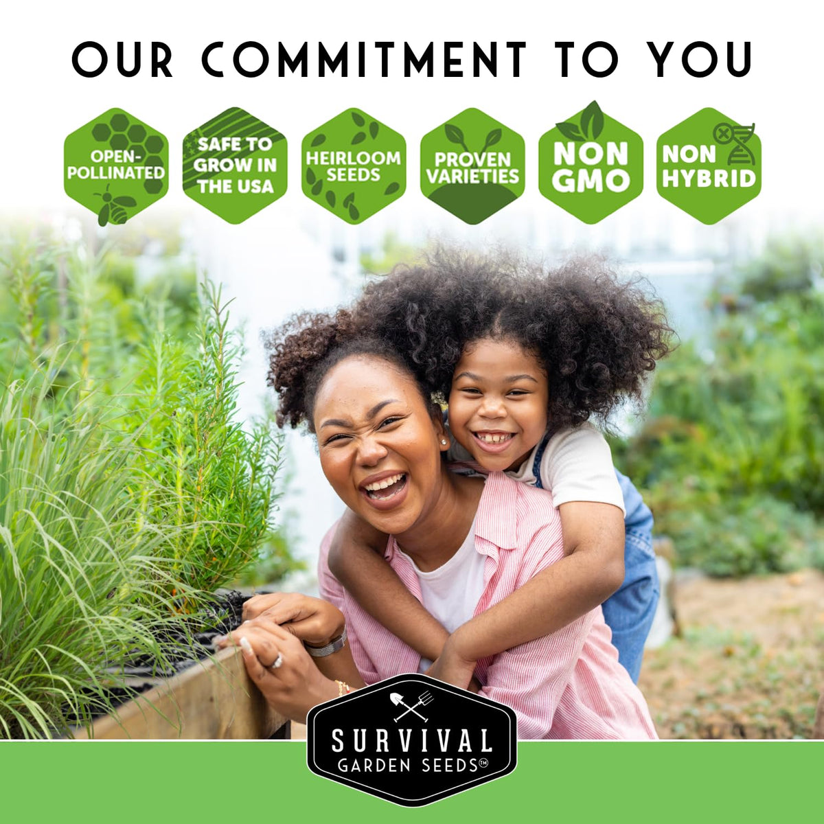 SURVIVAL GARDEN SEEDS oregano leaves for pizza, pasta, and Italian dishes at home
