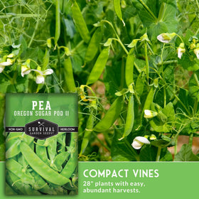 Survival Garden Seeds Oregon Sugar Pod II bushy vines fit raised beds.