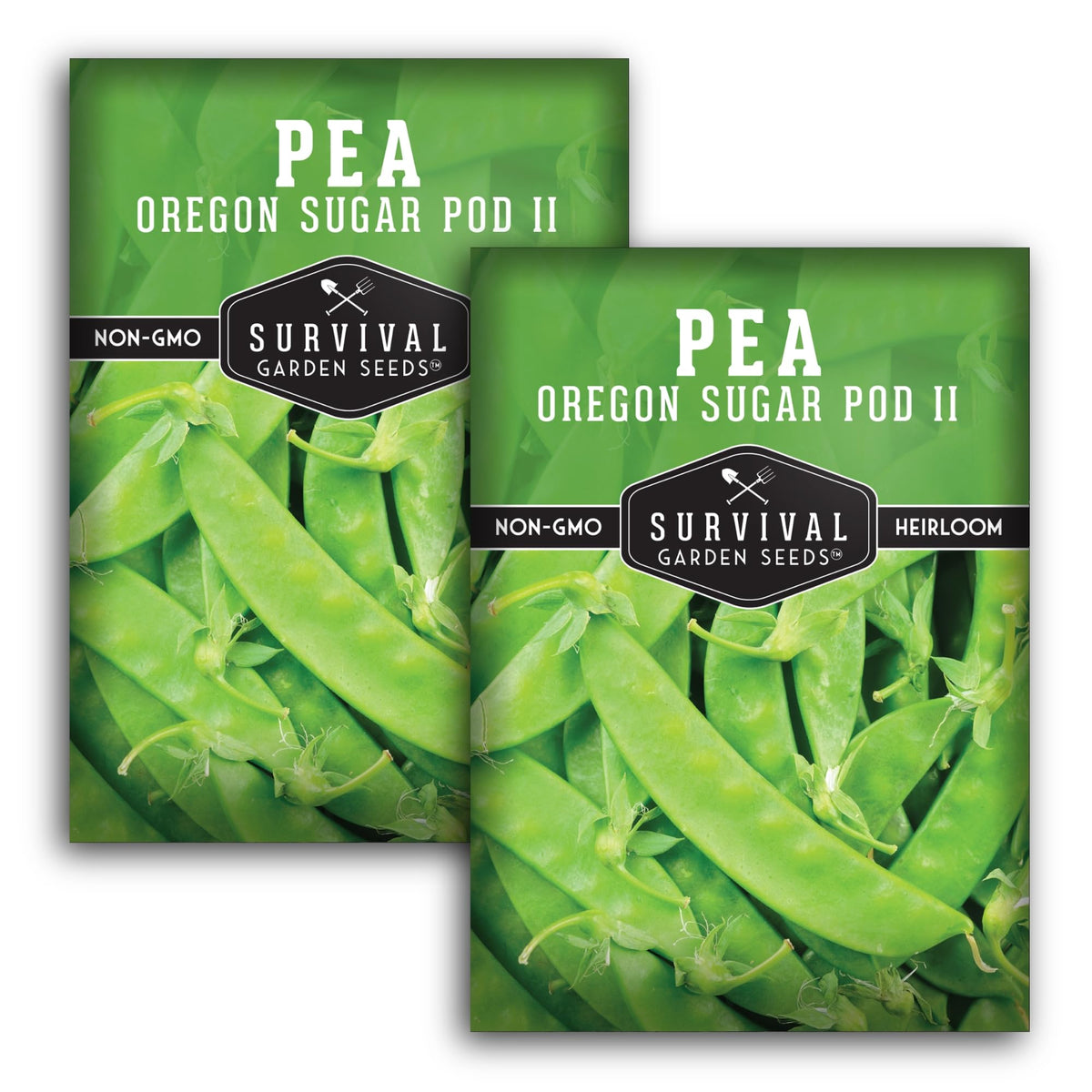 Survival Garden Seeds Oregon Sugar Pod II crisp pods ready for fresh snacking.