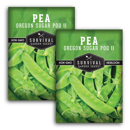 Survival Garden Seeds Oregon Sugar Pod II crisp pods ready for fresh snacking.