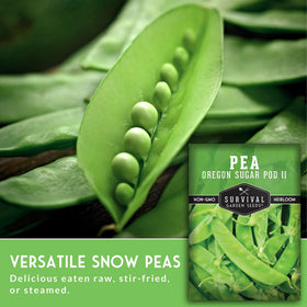 Survival Garden Seeds Oregon Sugar Pod II heirloom open-pollinated seeds.