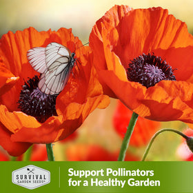Survival Garden Seeds hardy perennials thrive with light watering after establishment.