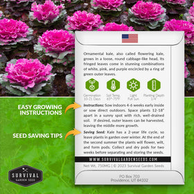 SURVIVAL GARDEN SEEDS ornamental kale pink purple white hues enhances winter planters