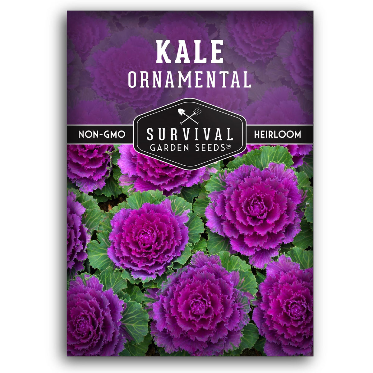 SURVIVAL GARDEN SEEDS ornamental kale rose rosette for fall color in borders