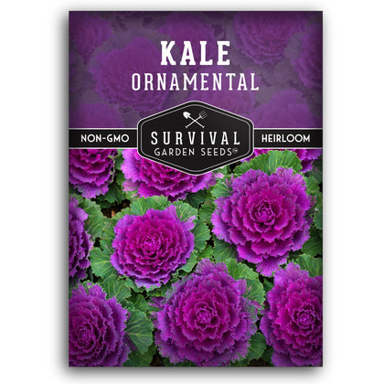 SURVIVAL GARDEN SEEDS ornamental kale rose rosette for fall color in borders