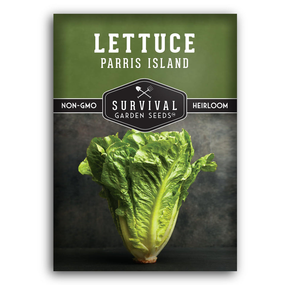Survival Garden Seeds parris island cos heads deliver crisp romaine for fresh salads.