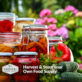 Survival Garden Seeds paste tomato harvest-ready plants in a sunny bed.