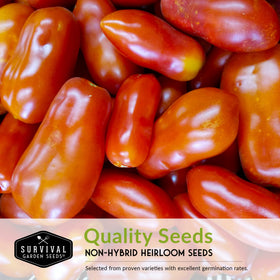 Survival Garden Seeds paste tomato Roma meaty fruit close-up on the vine.